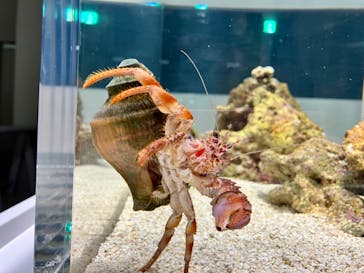 AOAO SAPPOROに投稿された画像（2023/10/30）