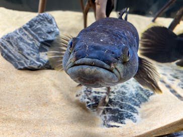 AOAO SAPPOROに投稿された画像（2023/10/30）