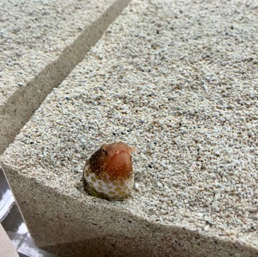 AOAO SAPPOROに投稿された画像（2023/10/30）