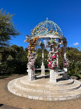 京成バラ園に投稿された画像（2023/10/30）