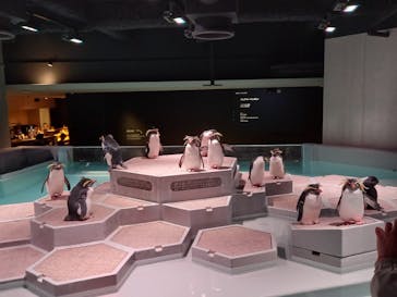 AOAO SAPPOROに投稿された画像（2023/10/30）