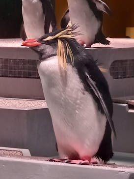 AOAO SAPPOROに投稿された画像（2023/10/30）