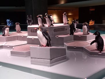 AOAO SAPPOROに投稿された画像（2023/10/30）