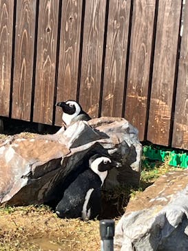 名古屋港水族館に投稿された画像（2023/10/30）