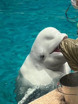 名古屋港水族館に投稿された画像（2023/10/30）