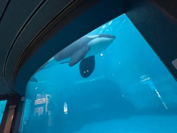 名古屋港水族館に投稿された画像（2023/10/30）