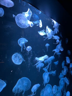 AOAO SAPPOROに投稿された画像（2023/10/30）