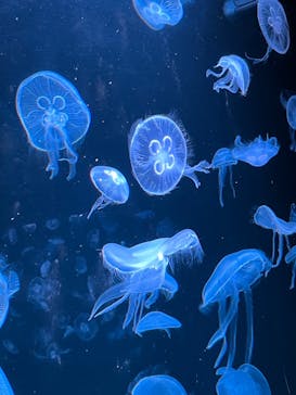 AOAO SAPPOROに投稿された画像（2023/10/30）