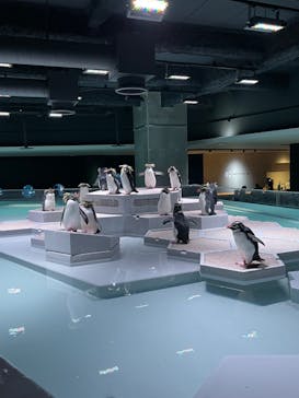 AOAO SAPPOROに投稿された画像（2023/10/30）