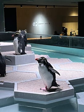 AOAO SAPPOROに投稿された画像（2023/10/30）