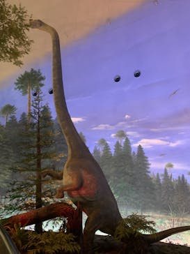 福井県立恐竜博物館に投稿された画像（2023/10/30）