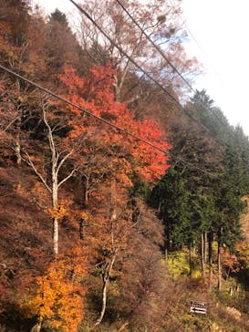 マウントジーンズ那須に投稿された画像（2023/10/30）