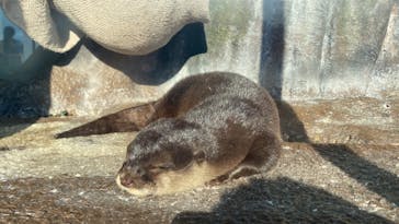 新江ノ島水族館に投稿された画像（2023/10/30）