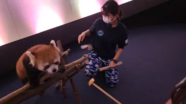 横浜・八景島シーパラダイスに投稿された画像（2023/10/30）