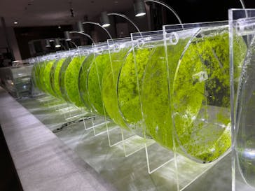 AOAO SAPPOROに投稿された画像（2023/10/30）