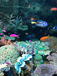 サンシャイン水族館に投稿された画像（2023/10/30）