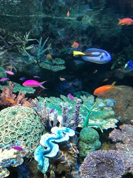 サンシャイン水族館に投稿された画像（2023/10/30）