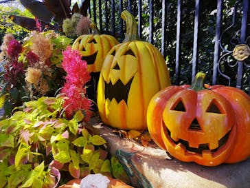 横浜イングリッシュガーデンに投稿された画像（2023/10/30）