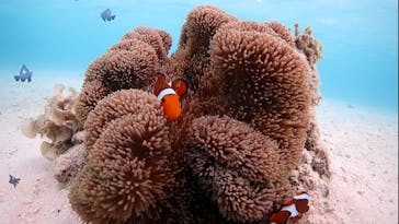 宮古島マリン GB QUESTに投稿された画像（2023/10/30）