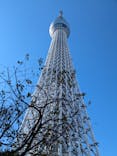 東京スカイツリーに投稿された画像（2023/10/30）