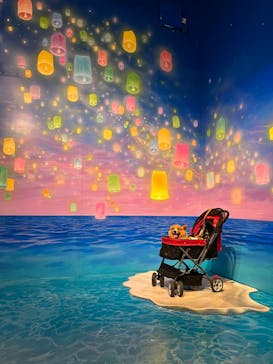 那須とりっくあーとぴあに投稿された画像（2023/10/30）