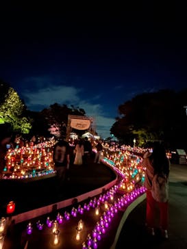 江の島シーキャンドルに投稿された画像（2023/10/30）