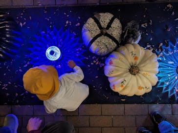 横浜イングリッシュガーデンに投稿された画像（2023/10/30）