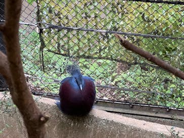 よこはま動物園ズーラシアに投稿された画像（2023/10/30）