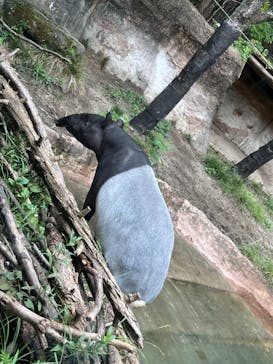よこはま動物園ズーラシアに投稿された画像（2023/10/30）