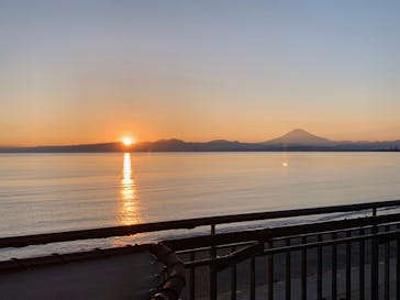 新江ノ島水族館に投稿された画像（2023/10/30）