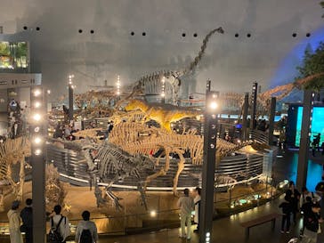 福井県立恐竜博物館に投稿された画像（2023/10/30）