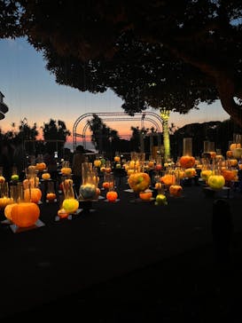 江の島シーキャンドルに投稿された画像（2023/10/30）