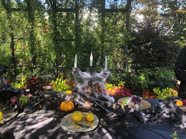 横浜イングリッシュガーデンに投稿された画像（2023/10/30）