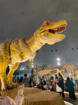 福井県立恐竜博物館に投稿された画像（2023/10/31）