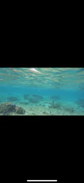 武藤潜水に投稿された画像（2023/10/31）