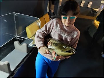 サケのふるさと 千歳水族館に投稿された画像（2023/10/31）