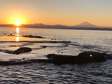 江の島シーキャンドル×新江ノ島水族館に投稿された画像（2023/10/31）