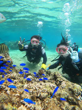 武藤潜水に投稿された画像（2023/10/31）