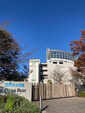 世界淡水魚園水族館　アクア・トトぎふに投稿された画像（2023/10/31）