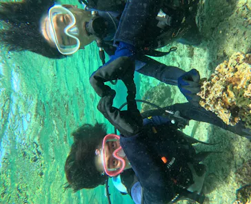 武藤潜水に投稿された画像（2023/10/31）