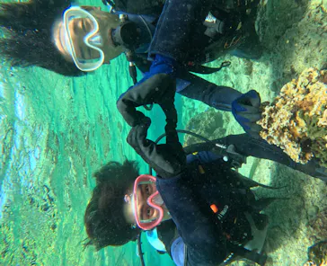 武藤潜水に投稿された画像（2023/10/31）