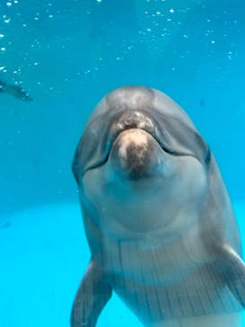 新江ノ島水族館に投稿された画像（2023/10/31）