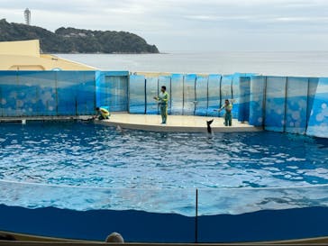 新江ノ島水族館に投稿された画像（2023/10/31）