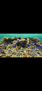 武藤潜水に投稿された画像（2023/10/31）