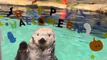 マリンワールド海の中道に投稿された画像（2023/10/31）