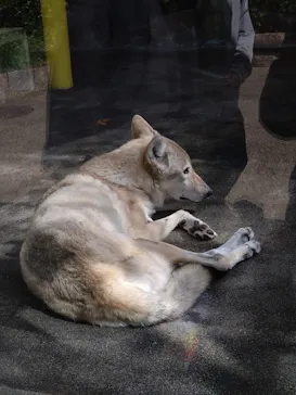 天王寺動物園に投稿された画像（2023/10/31）