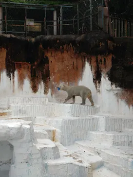天王寺動物園に投稿された画像（2023/10/31）