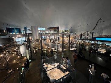 福井県立恐竜博物館に投稿された画像（2023/10/31）