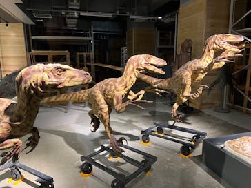 福井県立恐竜博物館に投稿された画像（2023/10/31）