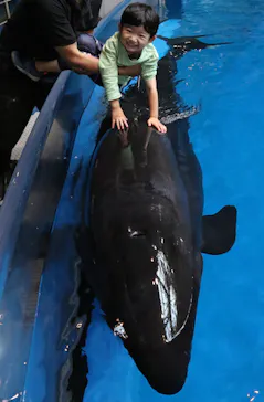 マクセル アクアパーク品川に投稿された画像（2023/10/31）